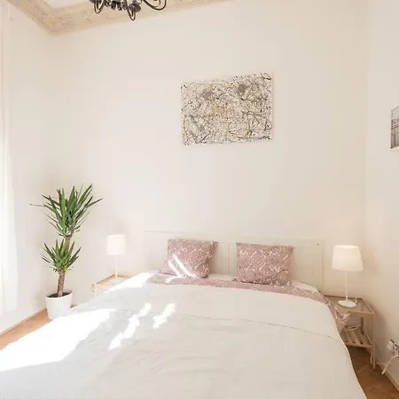 Large In The Old Town Center Apartament